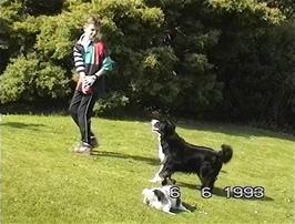 Philip Stone entertains the resident dogs